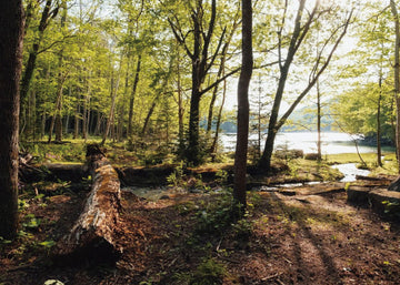 棚卸による出荷業務停止のお知らせ