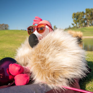 goodrのサングラス、オンライン試着できます