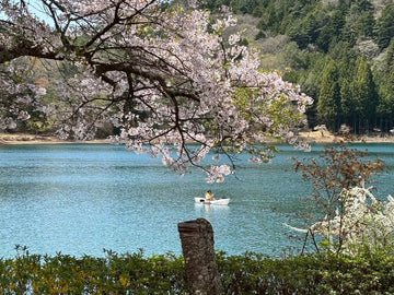 【湖でカヤック】春キャンプを格上げする「オルカヤック」の魅力