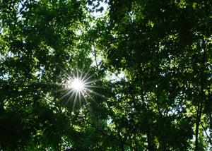 GW期間中の休業について