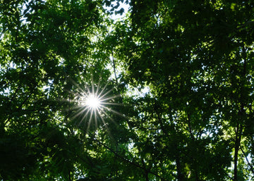 GW期間中の休業について