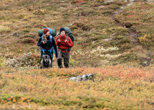 【秋を楽しむ】これからの季節にぴったりな北欧小物を見つけよう