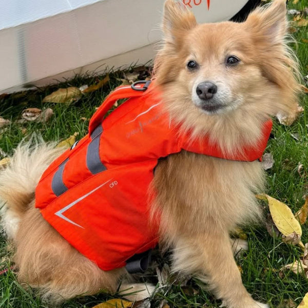 ORU KAYAK CANINE FLOTATION DEVICE / オルカヤック ケーナイン フローテーション デバイス オレンジ