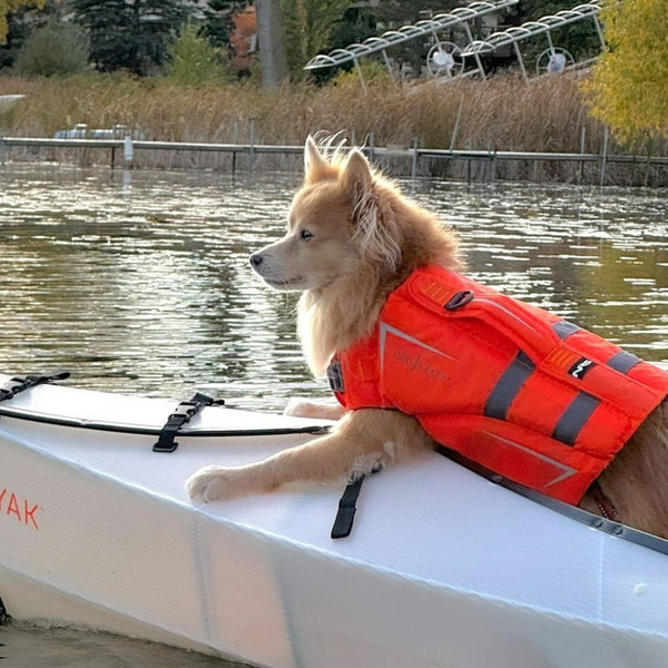 ORU KAYAK CANINE FLOTATION DEVICE / オルカヤック ケーナイン フローテーション デバイス オレンジ