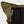 SANDQVIST ICON ROLLTOP BACKPACK 16