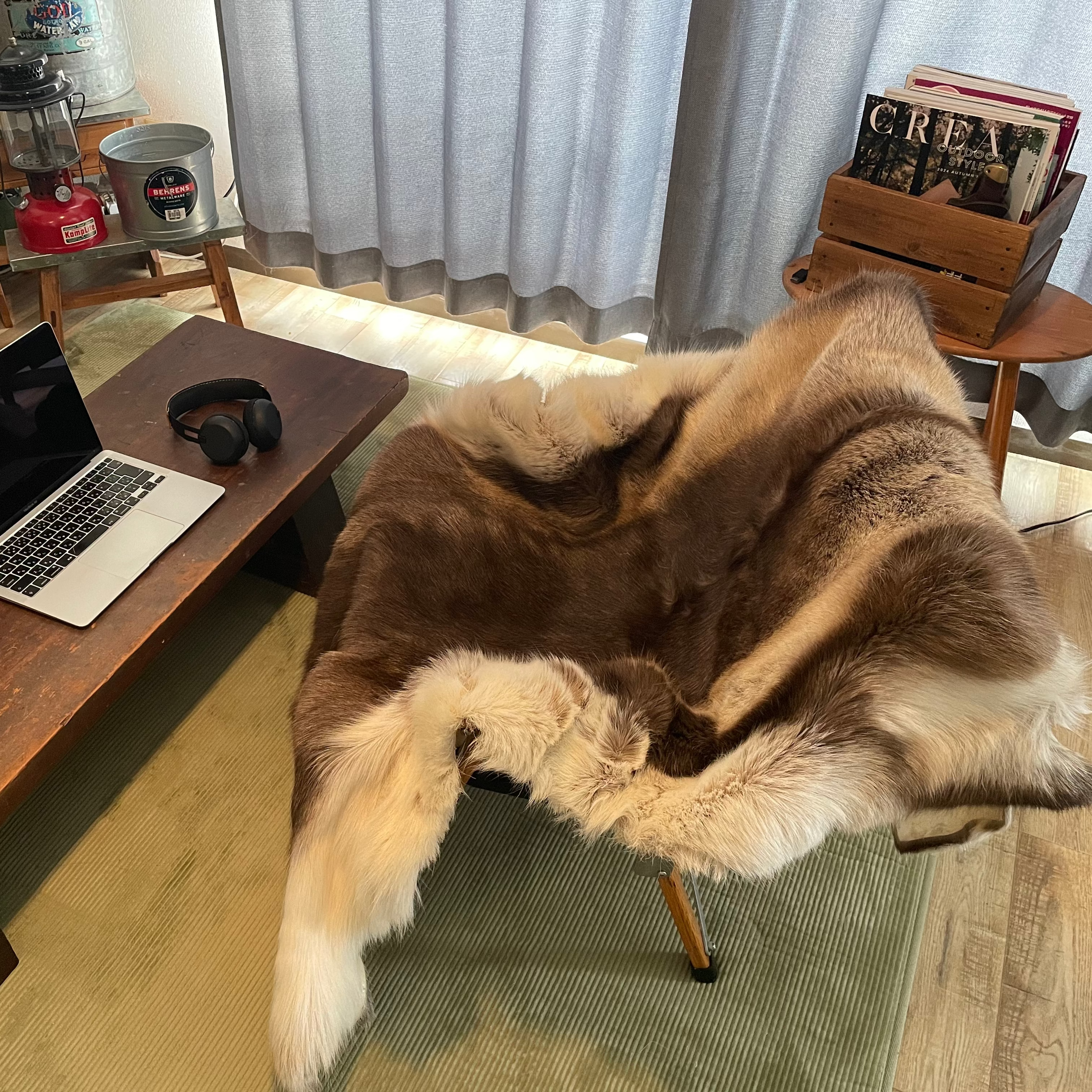 DALUM トナカイファー DALUM REINDEER FUR WARD M / ダーラム トナカイ DALUM トナカイファー DALUM REINDEER FUR WARD M / ダーラム トナカイ