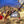 GRAND TRUNK DOUBLE HAMMOCK & MOZZY 360 SET / グランドトランク ダブルハンモック モジー360 セット