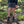 WOOLPOWER SOCKS SKILLED LINER CLASSIC / ウールパワー ソックス スキルドライナー クラシック