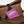 SANDQVIST ICON ROLLTOP BACKPACK 14